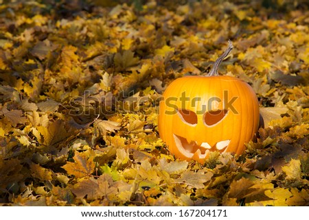 Fall Pumpkin face outdoors
