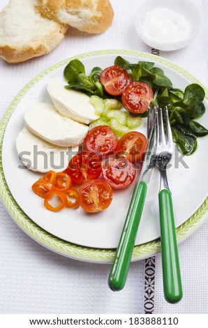 light salad with cherry tomatoes, mozzarella and valeriana