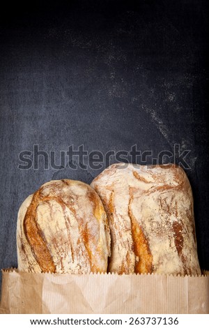 hot bread in paper bag . copy space