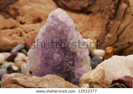 A cluster of amethyst crystals in natural surroundings.