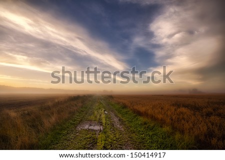 Pathway in the autumn fields. A green path leading through the harvest fields on a foggy morning as the sun rises