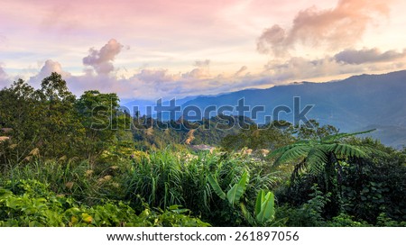 Mountain view at twilight in Kinabalu park, Malaysia