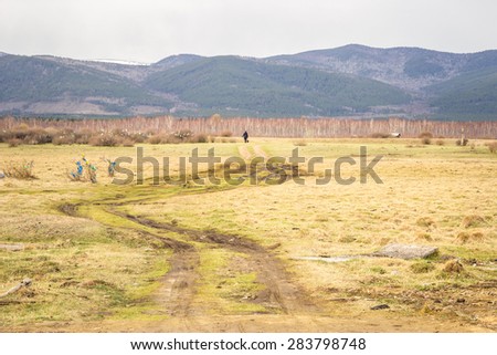 Man walks alone in golden meadow in Ulan Ude, Siberia