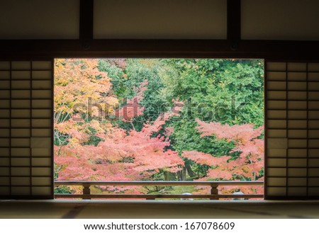 colorful leaves in Japan in Autumn through window