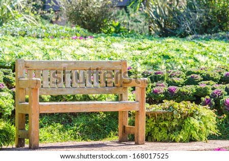 Garden bench in a clear fine day