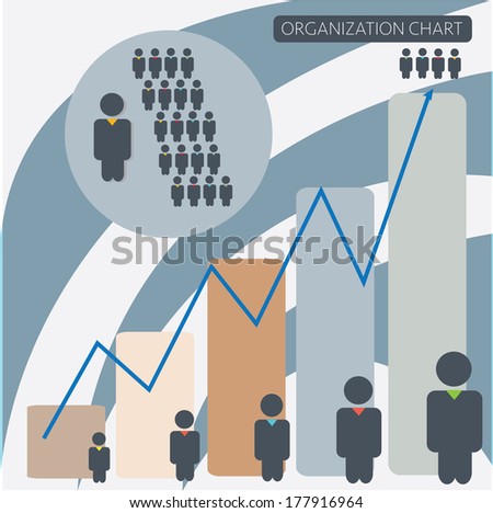 organization chart infographics vector