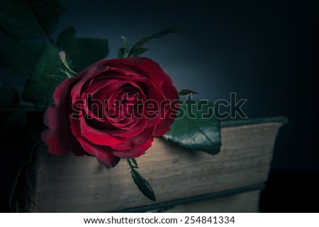 Close up of red rose on vintage book in dark background.