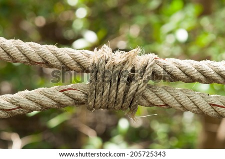 Close up of frayed old ropes
