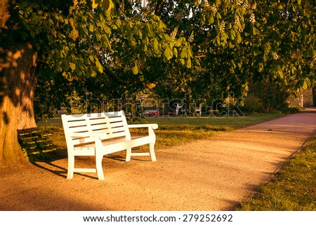 Bench in an Urban Park at Sunset