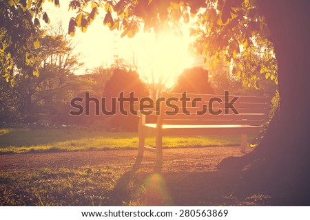 Bench in an Urban Park at Sunset