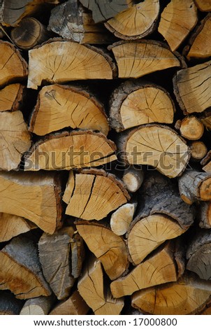 Chopped logs in a pile