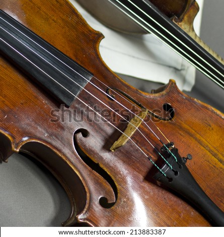 beautiful violin on a background of the old notes. musical instruments. stringed instruments