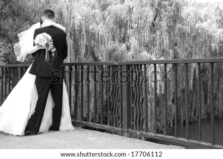 The newly married couple is kissing on the bridge