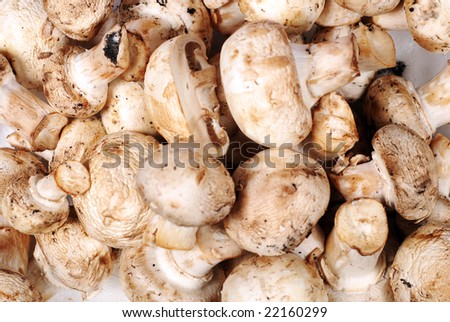 heap of raw champignons on white background
