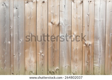 White and light grey wood texture. background old panels