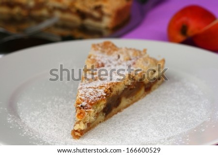 Home made just baked apple pie with raisins on white plate with powdered (icing) sugar