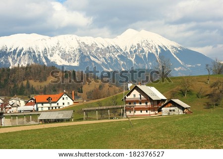 Slovenian village in the alps in spring with traditional hayrack (freestanding vertical drying rack) in front of farmhouse