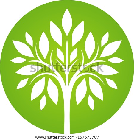 Tree Icon Stock Vector 157675709 : Shutterstock
