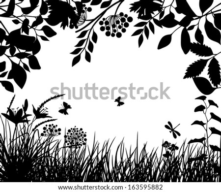 Meadow plants and flowers Meadow plants and flowers