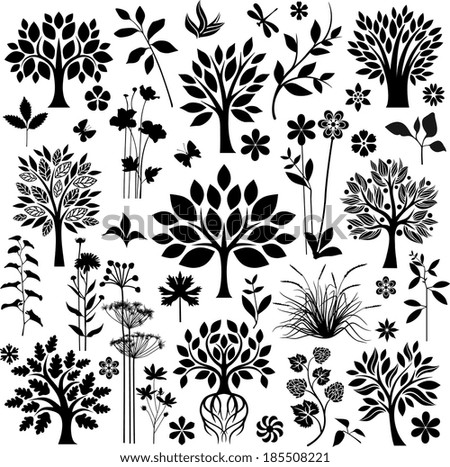 Trees and plants Trees and plants