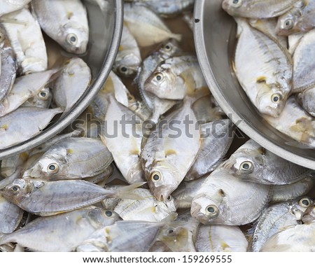 Sell ??fish to cook.