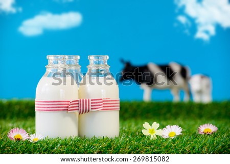 three small bottles of milk in a meadow with cow