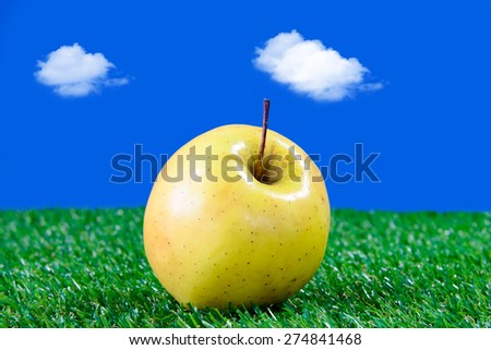 Yellow apple on green grass with bright colors