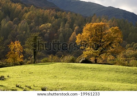 The Autumn (fall) Lake District