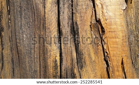 Rotten broken wood texture background