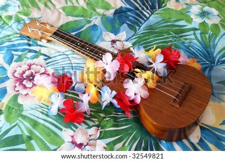 hawaii ukulele