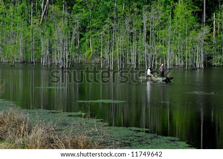 Swamp Fishing