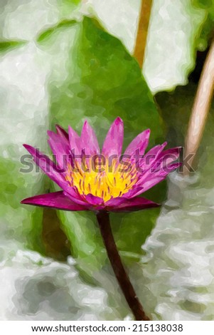 pink lotus blooms, watercolor style.