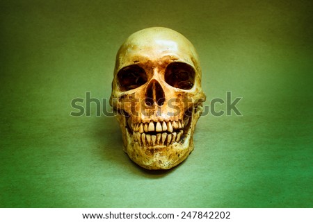 Still life with a human skull concept on the art.