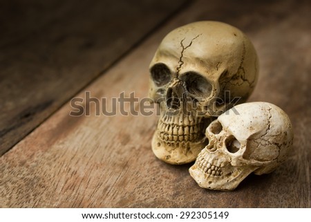 human skull on old wood background, still life.