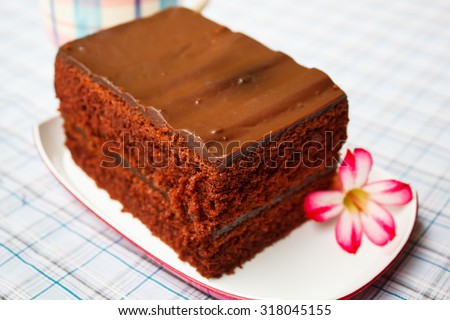A piece of chocolate fudge cake.