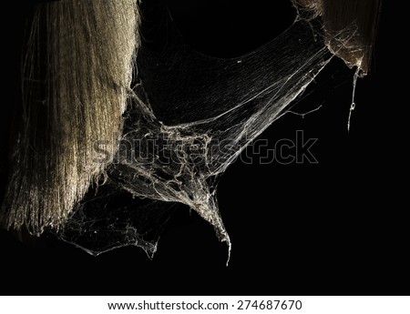 cobweb or spider web in ancient thai house isolated on black background