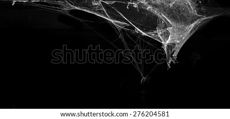cobweb or spider web in ancient thai house isolated on black background