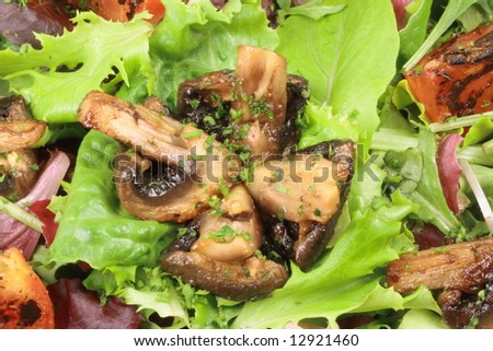 healthy salad with grilled mushrooms and fresh veggies