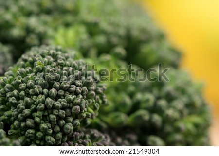 healthy organic broccoli soft focus macro style