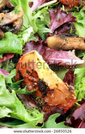 delicious salad with fresh and grilled veggies perfect healthy combination