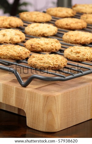 Fresh baked Stack of warm oatmeal  cookies on cooling rack, shallow DOF