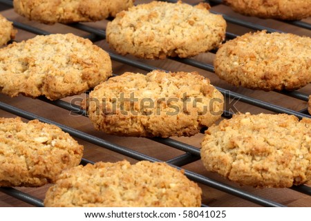 Fresh baked Stack of warm oatmeal  cookies on cooling rack, shallow DOF