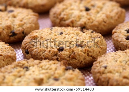 Fresh baked Stack of warm chocolate  chips cookies on baking silicone sheet  shallow DOF