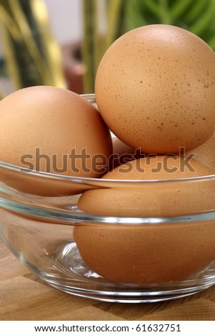 raw eggs on fancy kitchen dishware, one of the most used food ingredient
