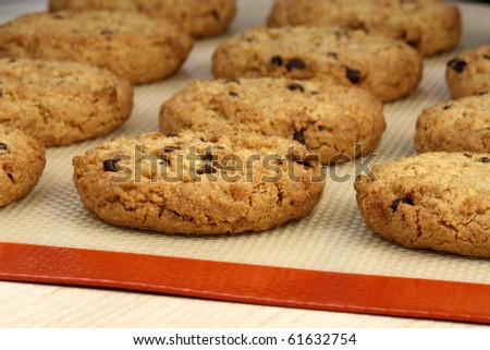 Fresh baked Stack of warm chocolate  chips cookies on baking silicone sheet  shallow DOF