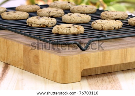 Fresh baked Stack of warm chocolate chips cookies on cooling rack shallow DOF