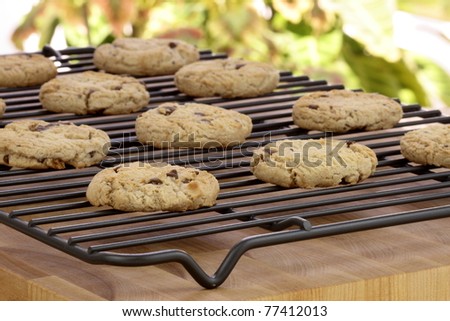 Fresh baked Stack of warm chocolate chips cookies on cooling rack shallow DOF
