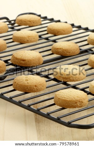 Fresh baked shortbread cookies on cooling rack, shalow D.O.F