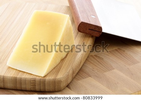 named after an area in Italy parmigiano reggiano or parmesan cheese is one of the world's most famous and delicious cheeses.  shallow d.o.f
