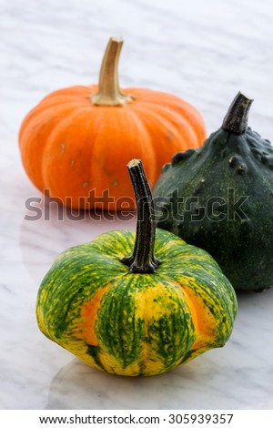 Beautiful organic assorted pumpkins or summer squash on  carrara marble countertop